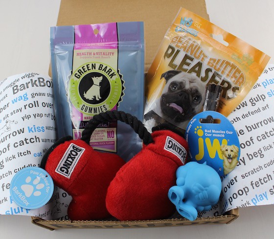 barkbox items