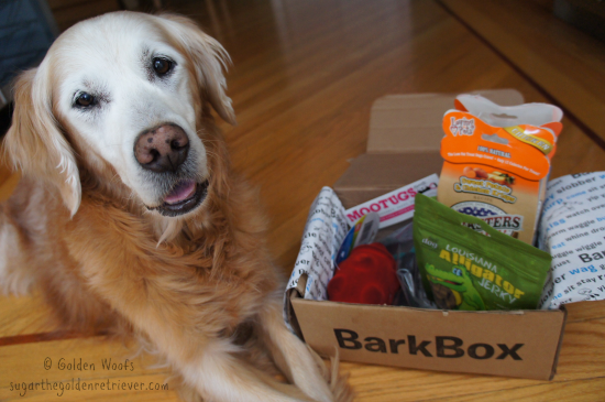 barkbox promos