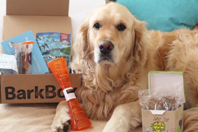 barkbox coupon code