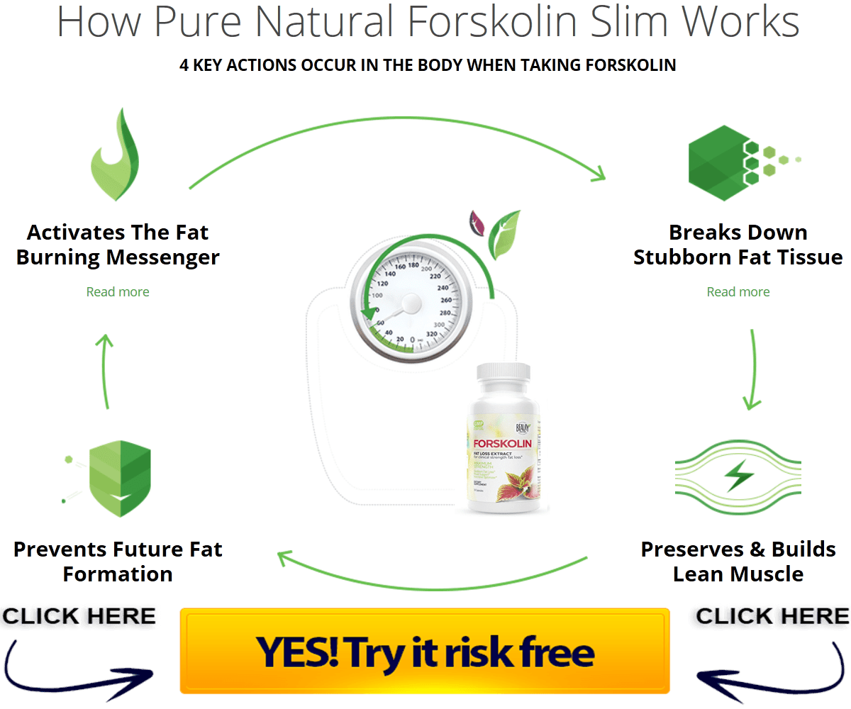 how does forskolin work